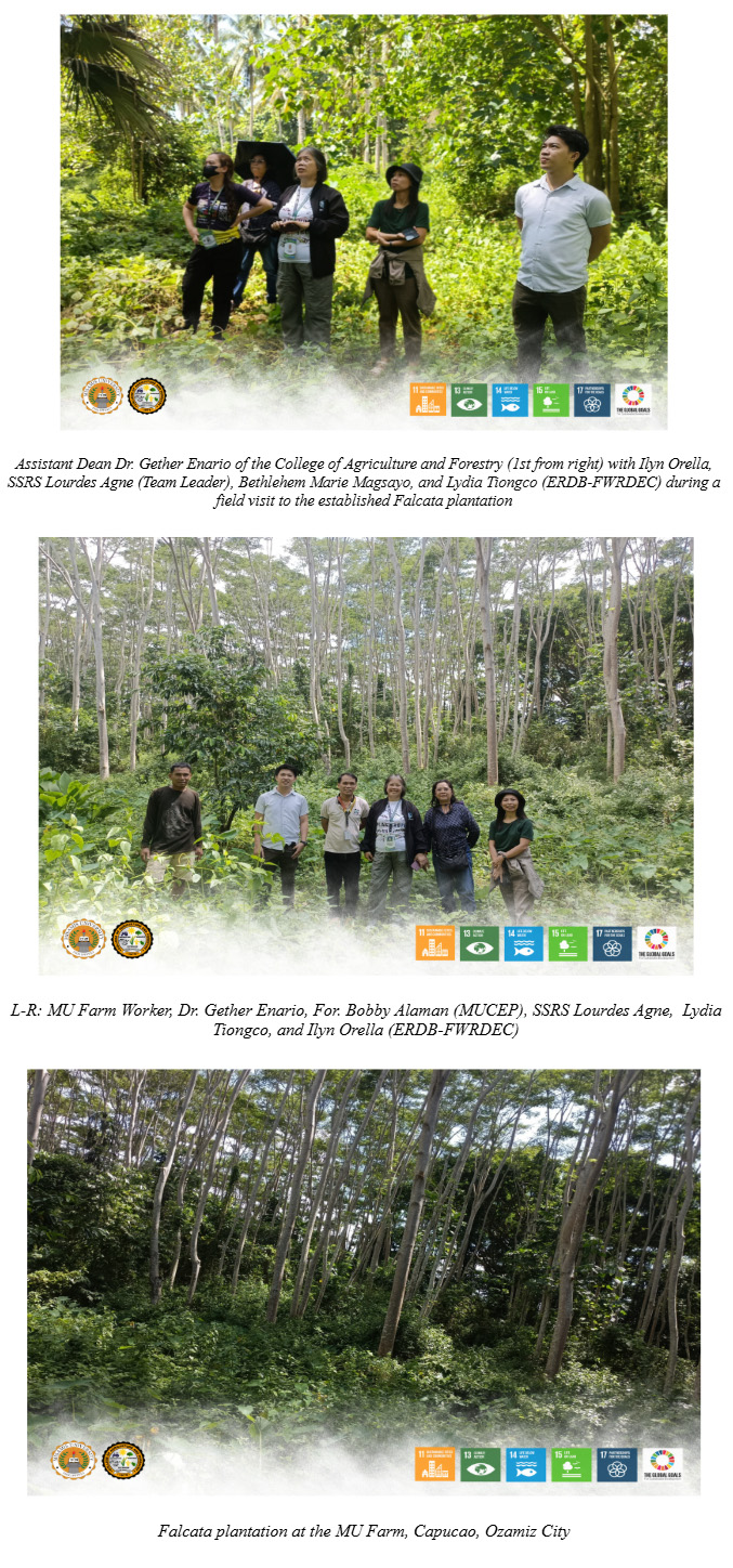 MU Establishes 3-Hectare Falcata Seed Plantation in Region 10
